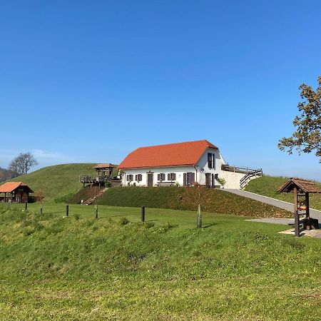 Tourist farm Artisek Villa Store Eksteriør bilde